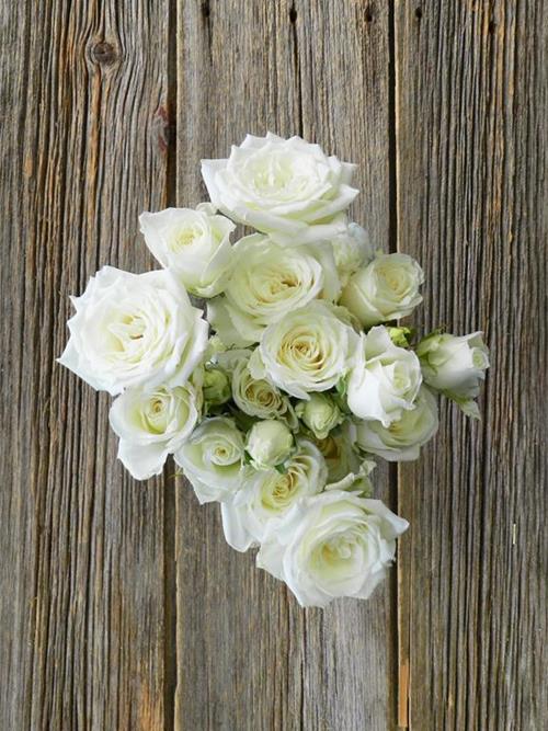 SNOWDANCE  WHITE SPRAY ROSES